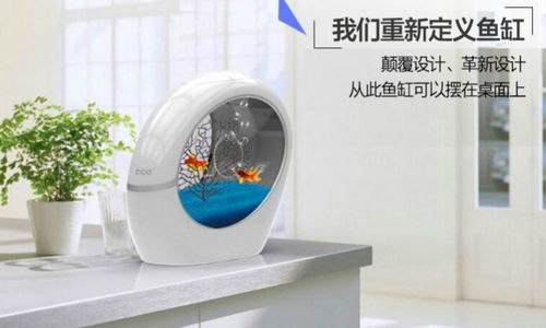 稀品匯 科技與新概念的互聯(lián)網(wǎng)營銷先鋒，引領(lǐng)布加桌寶線上銷售新潮流